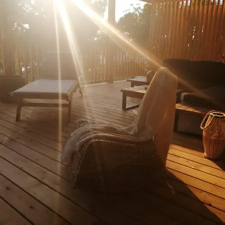 Nikodom Mobile * セルツェ